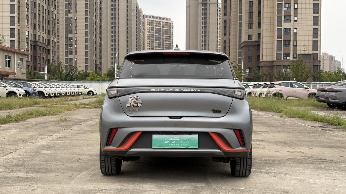 BYD Dolphin 2021 Freedom