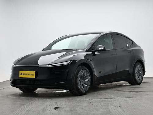 Tesla Model Y L