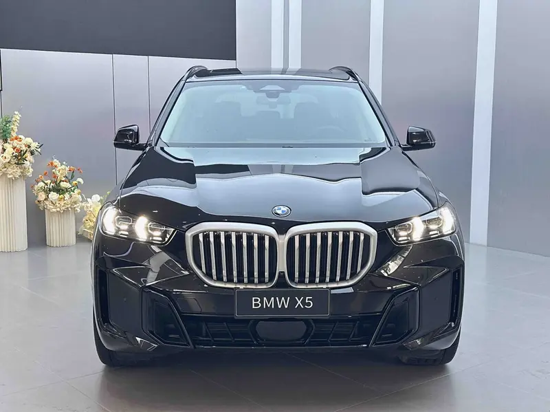 BMW X5 xDrive30Li M спортпакет — фото 2