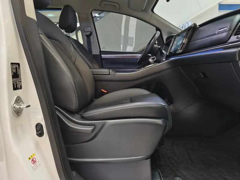 Trumpchi GACTrumpchi M8 — фото 14