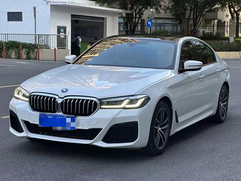 BMW 5 Series (Import)