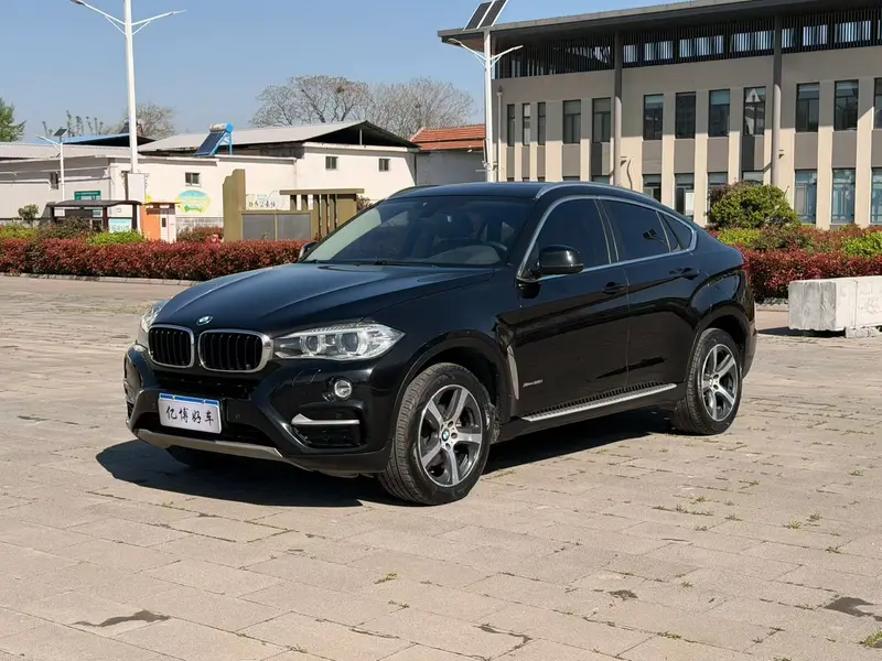 BMW X 6 x Drive 35i Luxury