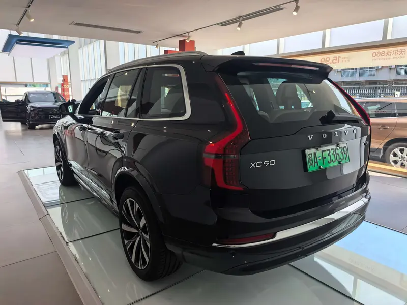 Volvo XC 90 PHEV E T 8 Luxury 7 — фото 5