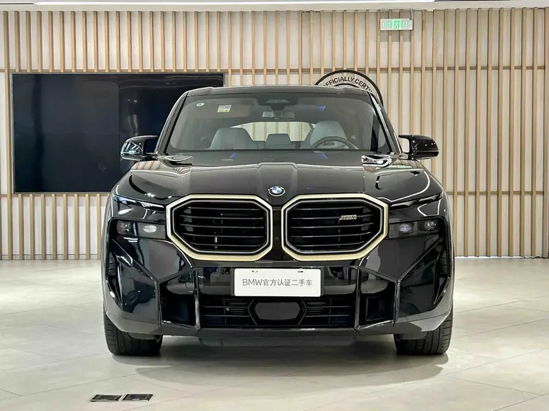 BMW XM — фото 2
