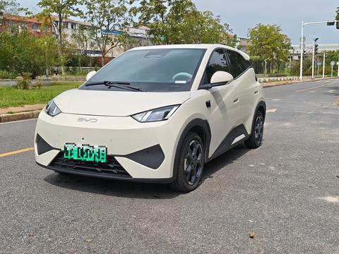 BYD Seagull 2025 Smart Drive 305KM Freedom