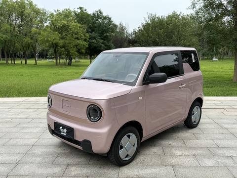 Geely Galaxy Panda