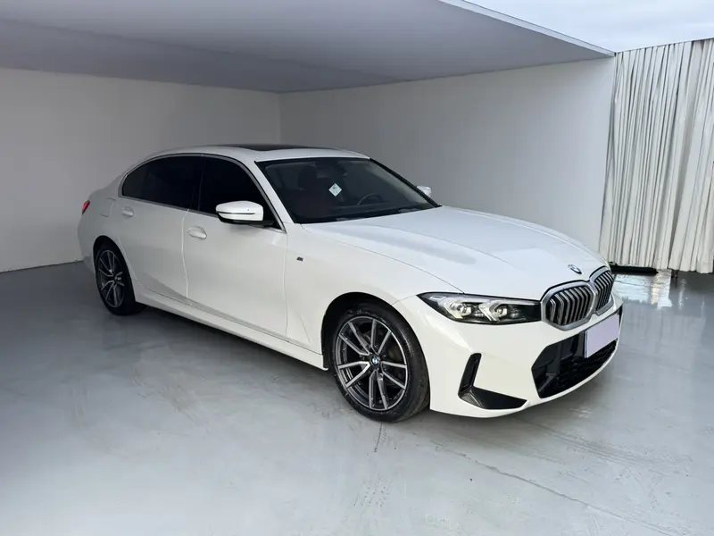 BMW 3 Series 320Li M спортпакет — фото 3