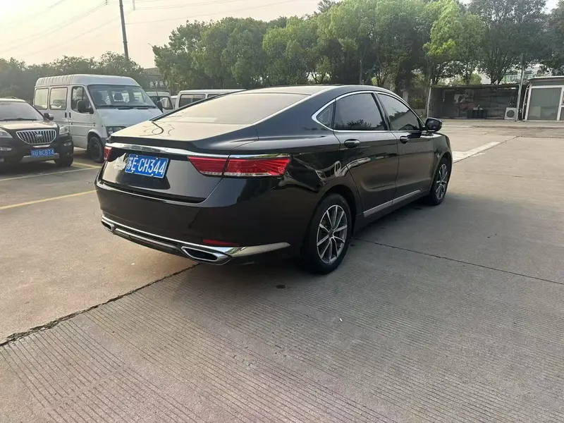 Geely Borui — фото 6