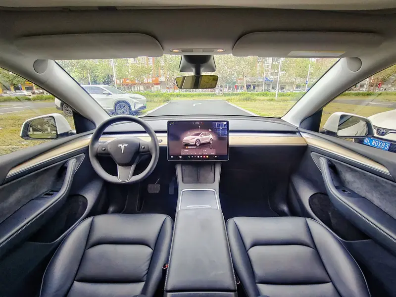 Tesla Model Y — фото 10
