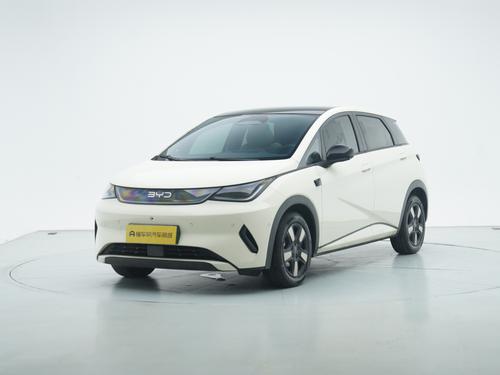 BYD Dolphin 2025 Smart Drive 410KM Fashion