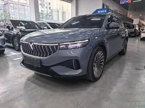Voyah Free 2021 Luxury