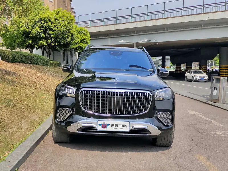 Mercedes-Benz Maybach GLS — фото 2