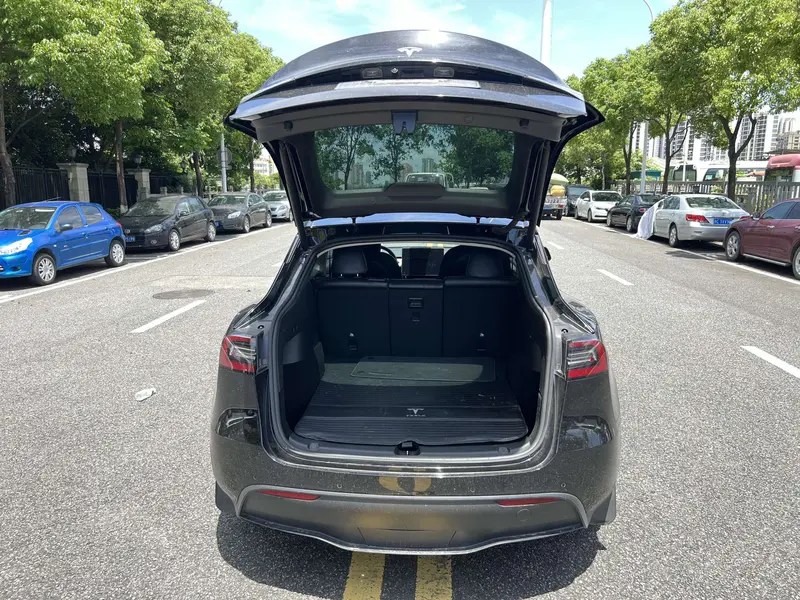 Tesla Model Y — фото 12