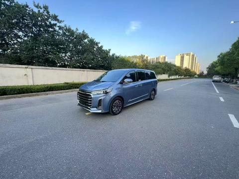 MAXUS G20