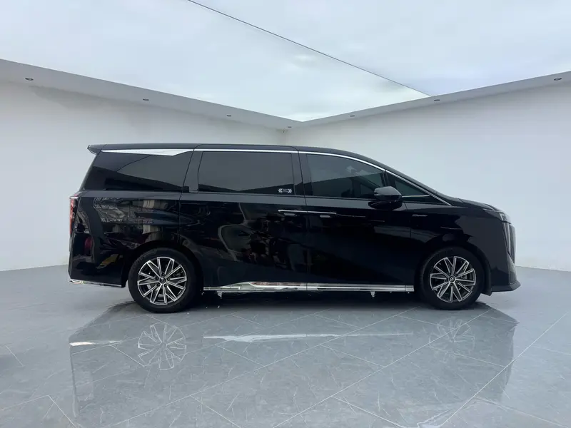 GACTrumpchi GAC Trumpchi M 8 2.0 TGDI Ultimate — фото 8