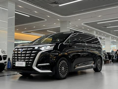 DENZA D9 DM