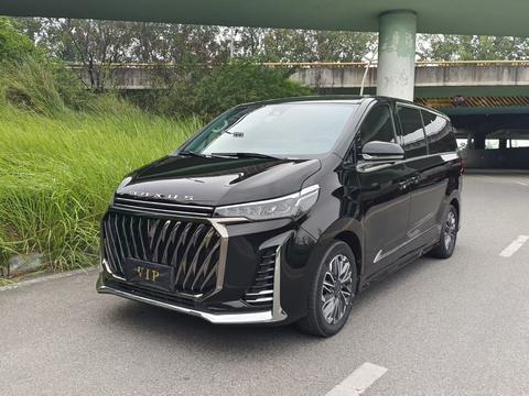 MAXUS G20