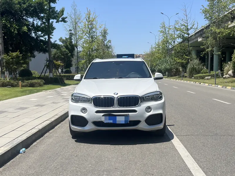 BMW X5 xDrive35i люкс — фото 2