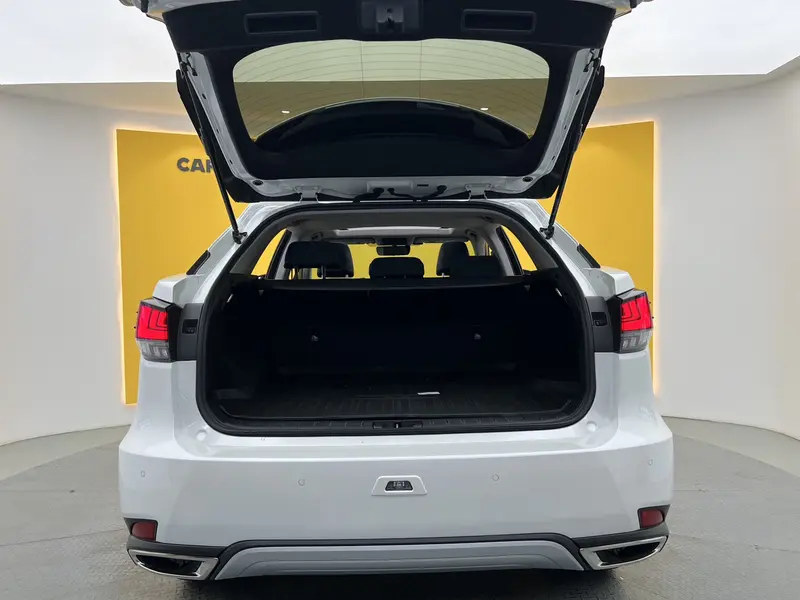 Lexus RX — фото 19