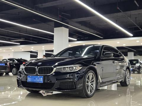 BMW 5 серии 2020 525Li M Спортивный пакет