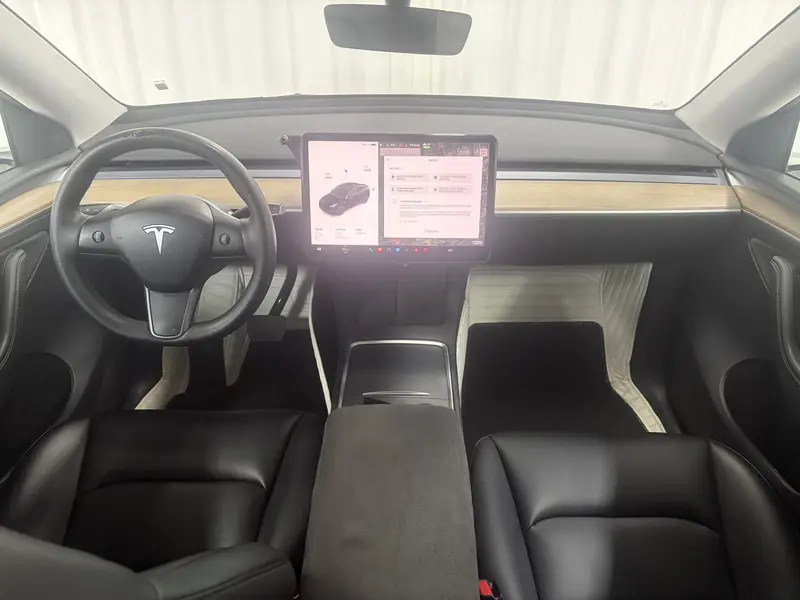 Tesla Model Y — фото 14