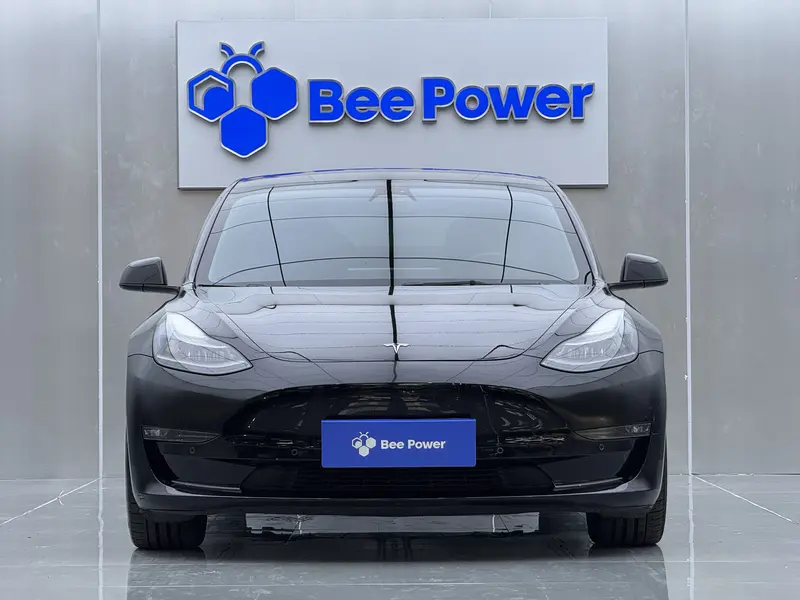 Tesla Model 3 Performance — фото 2