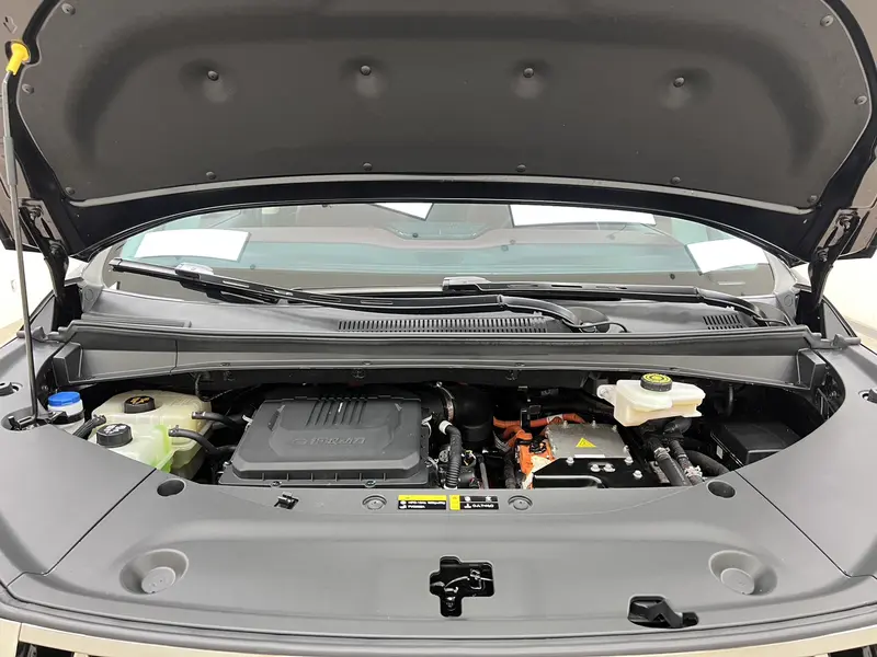 Trumpchi GACTrumpchi E9 — фото 9