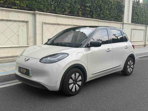 Wuling Binguo 2023 333KM +