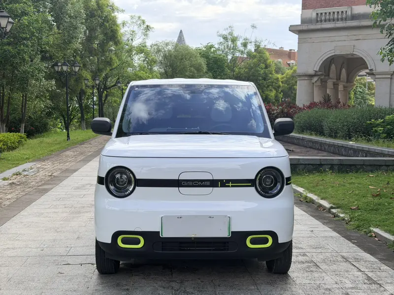 Geely Galaxy Panda — фото 2