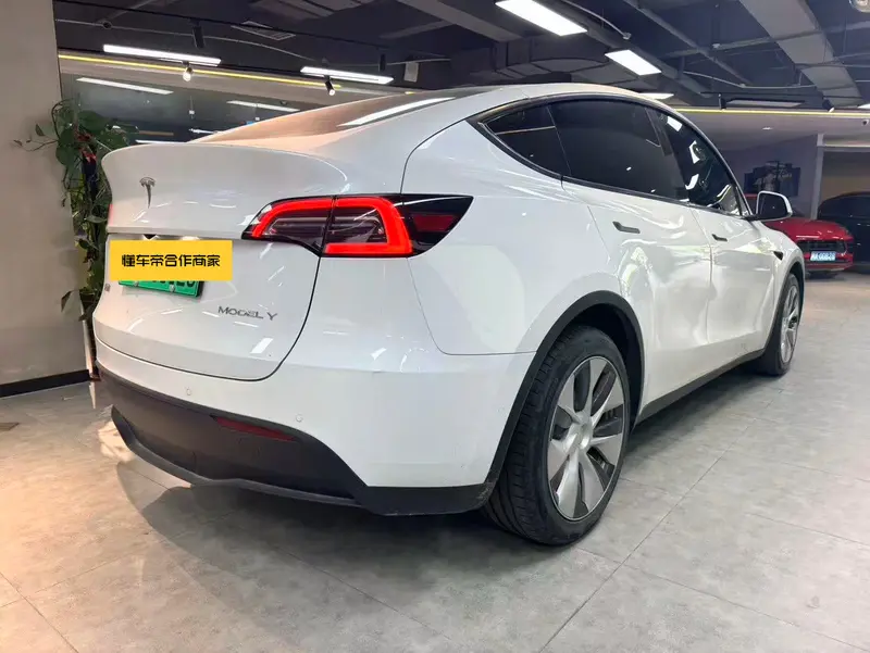 Tesla Model Y — фото 6