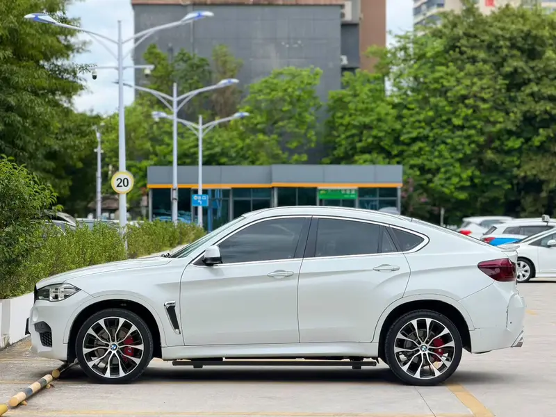 BMW X6 xDrive28i — фото 3