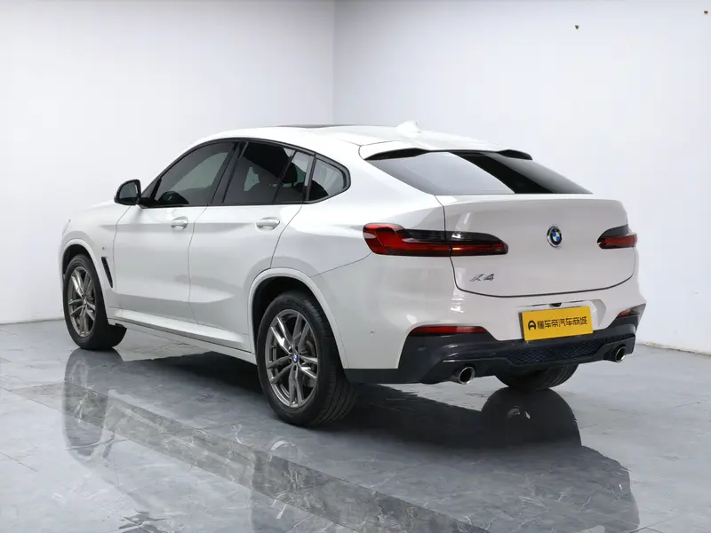 BMW X4 xDrive25i M спортпакет — фото 5