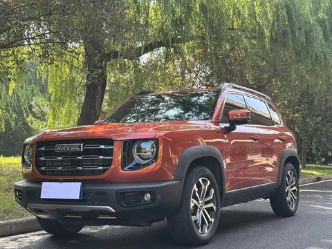 Haval Big Dog