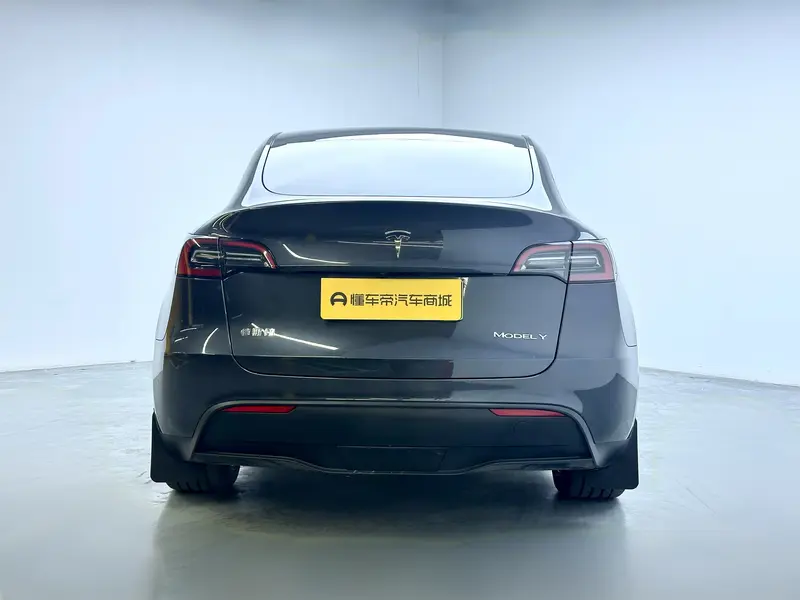 Tesla Model Y — фото 6