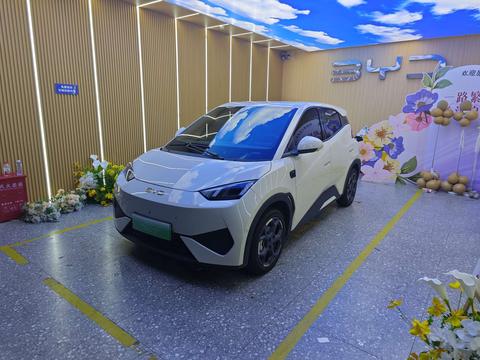 BYD Seagull