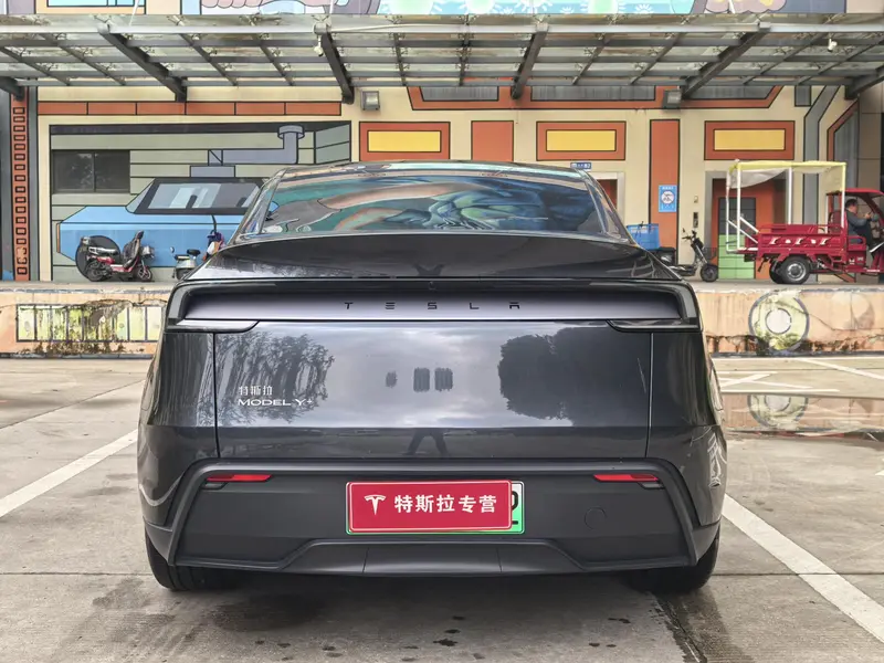 Tesla Model Y — фото 6