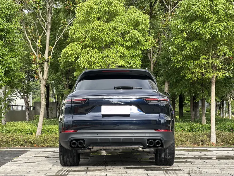 Porsche Cayenne 3.0 T Platinum — фото 5