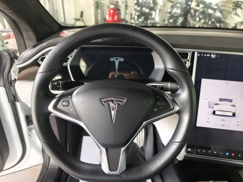 Tesla Model X P 100 D Performance — фото 6