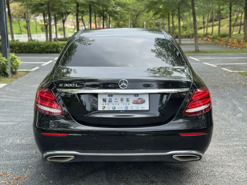 Mercedes-Benz E-Class E 300 L Luxury — фото 6