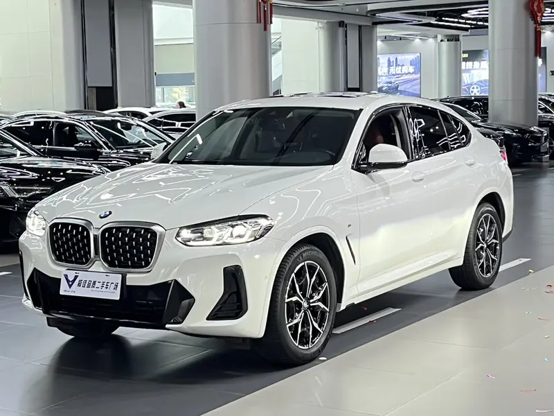 BMW X 4 x Drive 25i M Sport Package