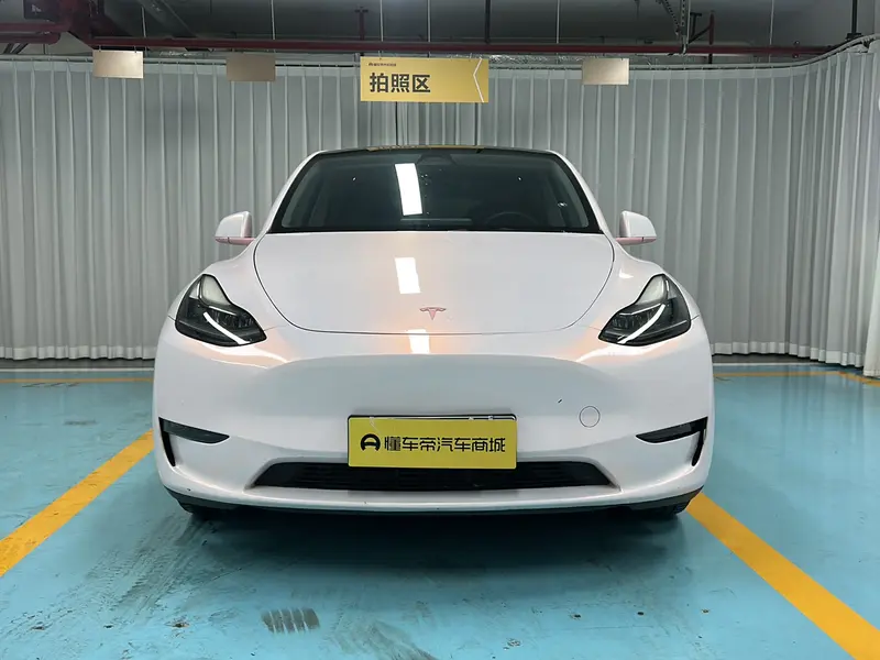 Tesla Model Y — фото 2