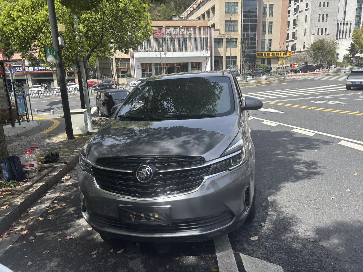 Buick GL8: фотография 3 из 19