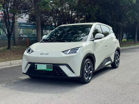 BYD Seagull