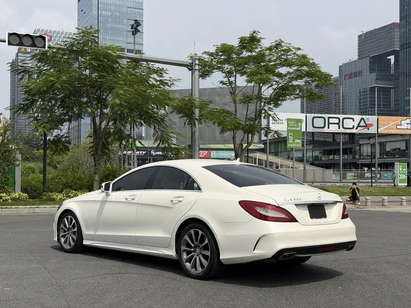 Mercedes-Benz CLS 320 — фото 5