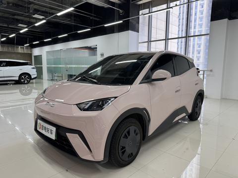 Seagull 2024 Honor Edition 305KM Vitality Edition