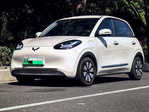 Wuling Binguo 2023 333KM Enjoy