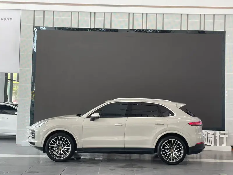 Porsche Cayenne 3.0 T Platinum — фото 3