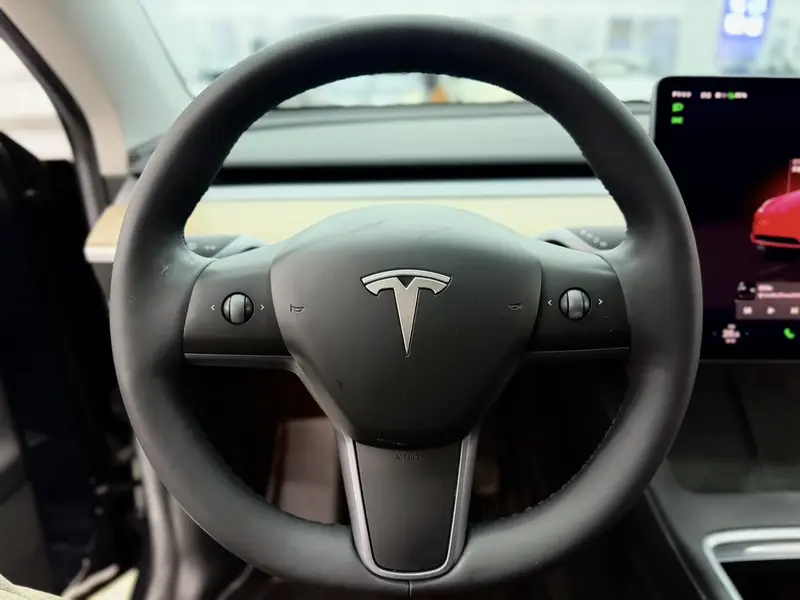 Tesla Model Y — фото 11