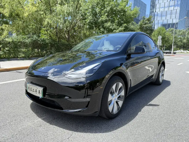 Tesla Model Y — фото 1