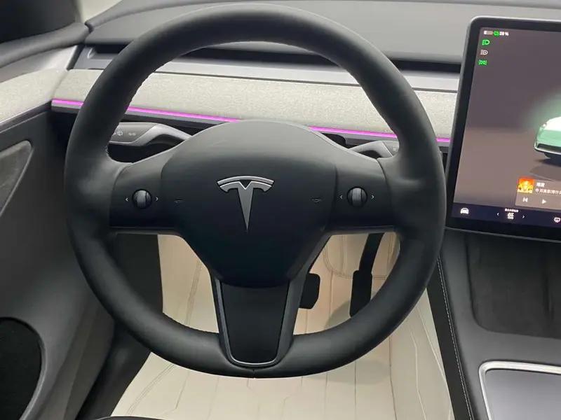 Tesla Model Y — фото 14